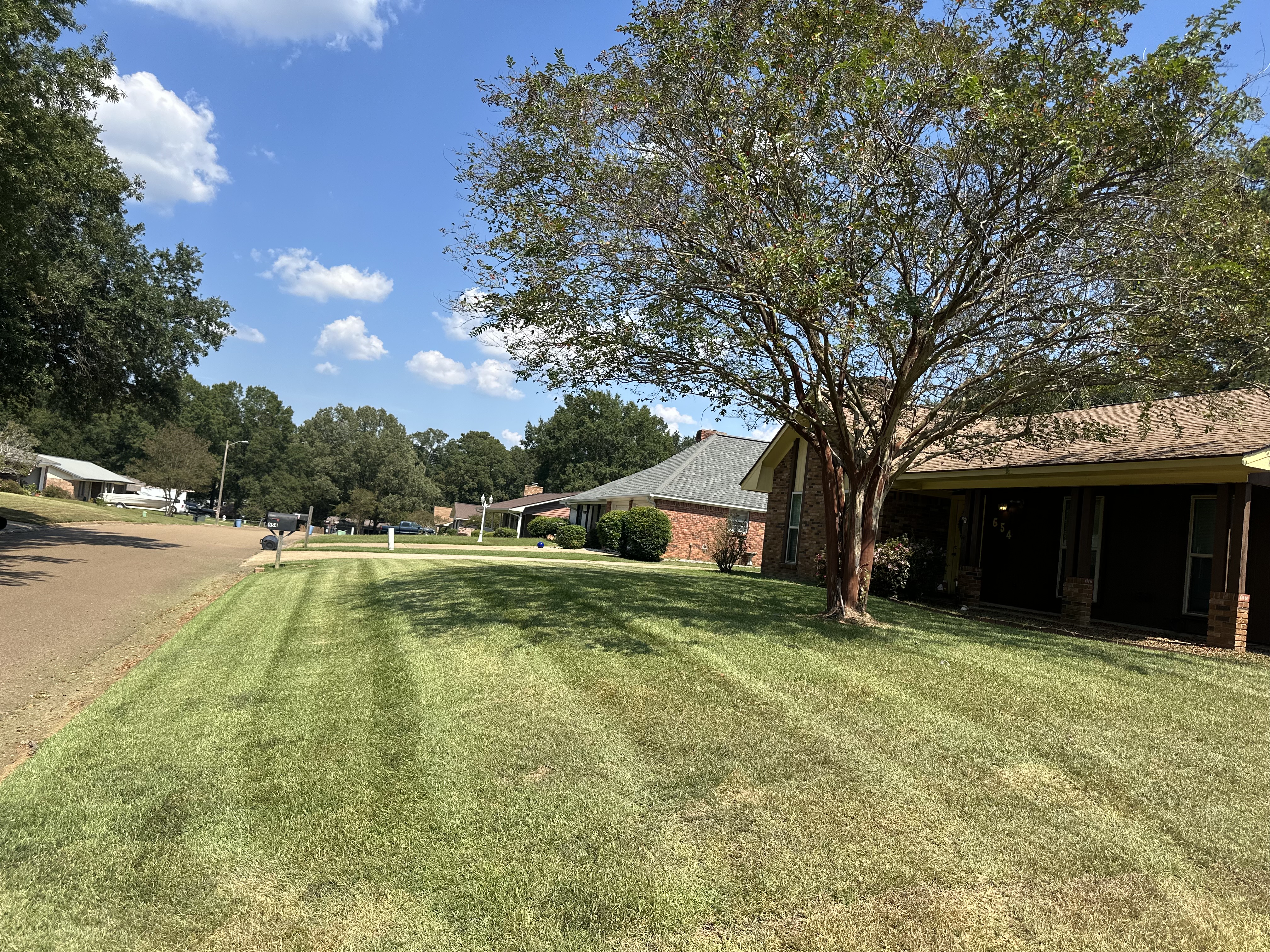 Freshly mowed lawn with clean stripes